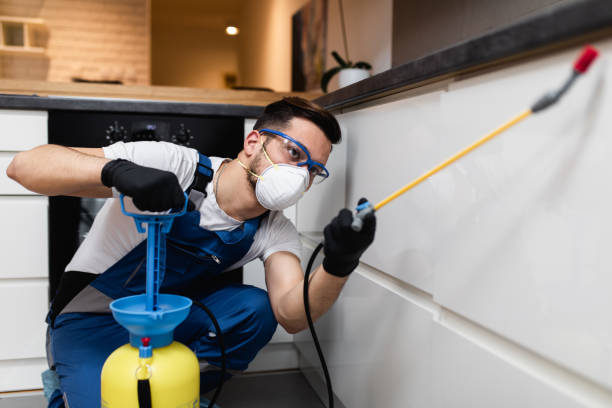 Best Pest Prevention Services  in Rome, NY
