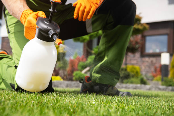 Best Wildlife Control Services  in Rome, NY