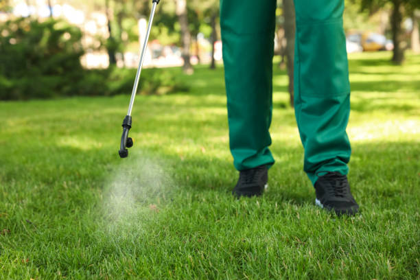 Best Best Pest Control Companies  in Rome, NY
